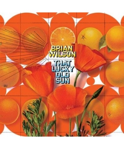 Brian Wilson THAT LUCKY OLD SUN Vinyl Record $9.55 Vinyl