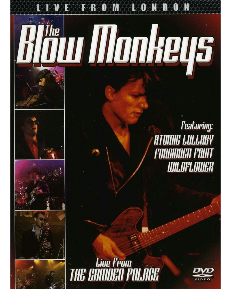 The Blow Monkeys LIVE FROM LONDON DVD $5.32 Videos