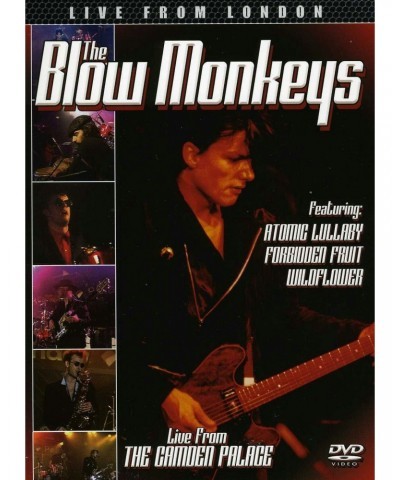 The Blow Monkeys LIVE FROM LONDON DVD $5.32 Videos