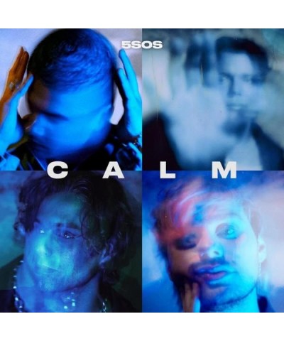 5 Seconds of Summer CALM Vinyl Record $6.23 Vinyl